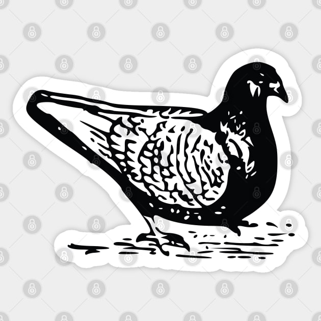 Pigeon Hand Drawn Sticker by KC Happy Shop